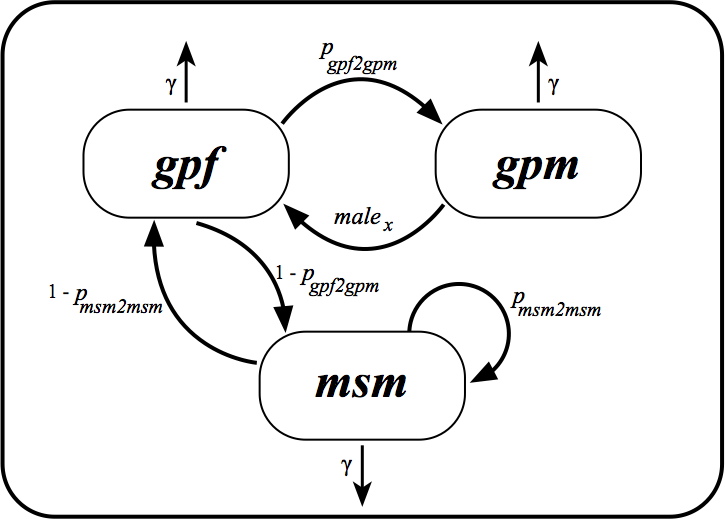 Transmission model for HIV in Senegal. $gpf$, $gpm$ and $msm$ represent infected individuals.